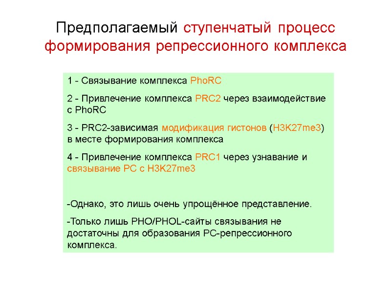 Предполагаемый ступенчатый процесс формирования репрессионного комплекса 1 - Связывание комплекса PhoRC 2 - Привлечение